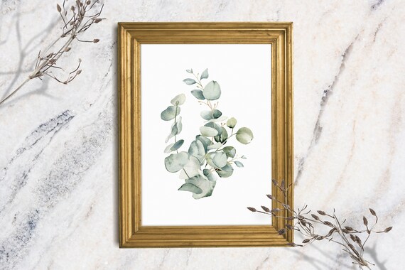 Eucalyptus Sprigs Sage Green Watercolor Minimalist Botanical Art Print