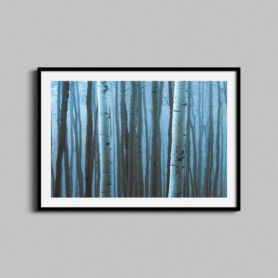 Aspens Trees Wall Art Colorado Forest Photo Print Abstract Nature Artwork Birch Farmhouse Home Decor Landscape Photography