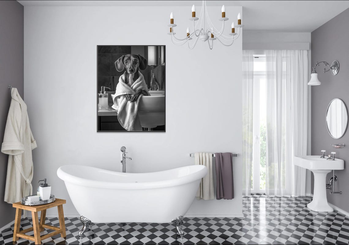 Dachshund Wrapped In White Towel Black And White Dog Photo Poster - Image 2