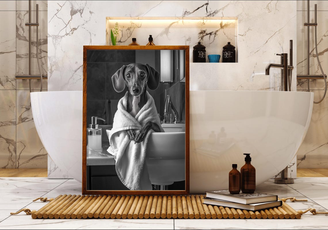 Dachshund Wrapped In White Towel Black And White Dog Photo Poster - Image 5