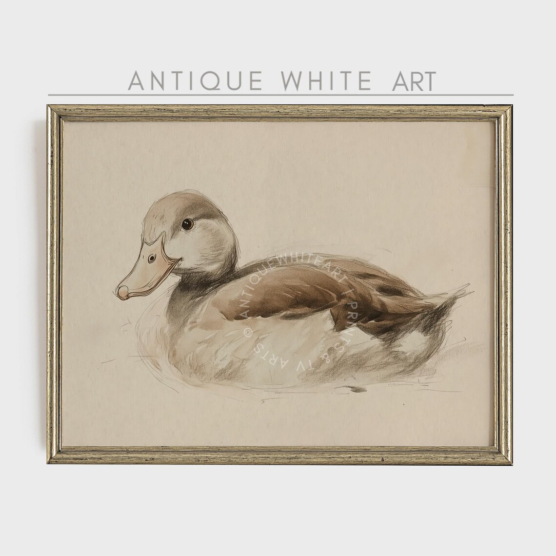 Easter Duck Sketch, Farmhouse Spring Art Print