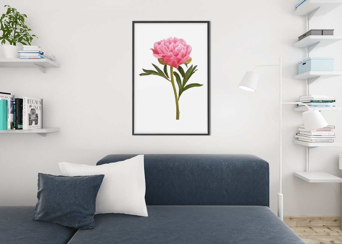 Pink Peony Blossom Botanical Photo White Background Floral Poster - Image 9
