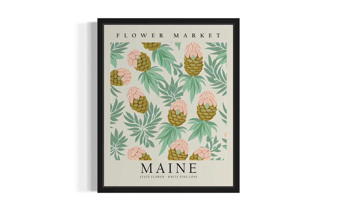 Maine White Pine Cone Flower Market Botanical Pattern Poster