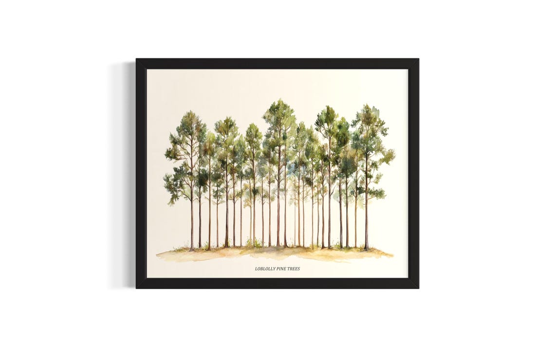 Loblolly Pine Trees Watercolor Botanical Tall Evergreen Poster