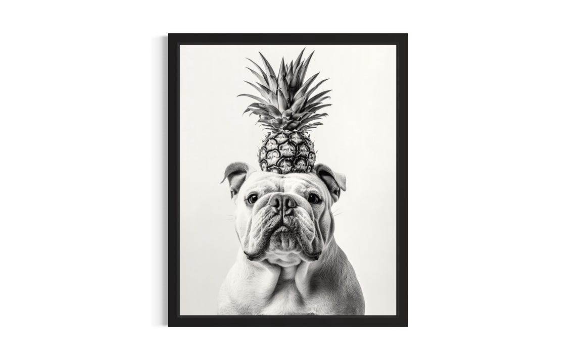 White Bulldog Balancing Pineapple Black And White Dog Portrait Poster