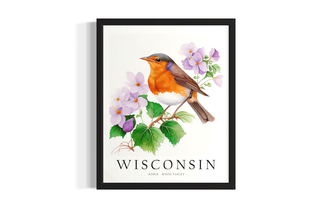 Wisconsin Robin Bird Wood Violet Watercolor Botanical Poster