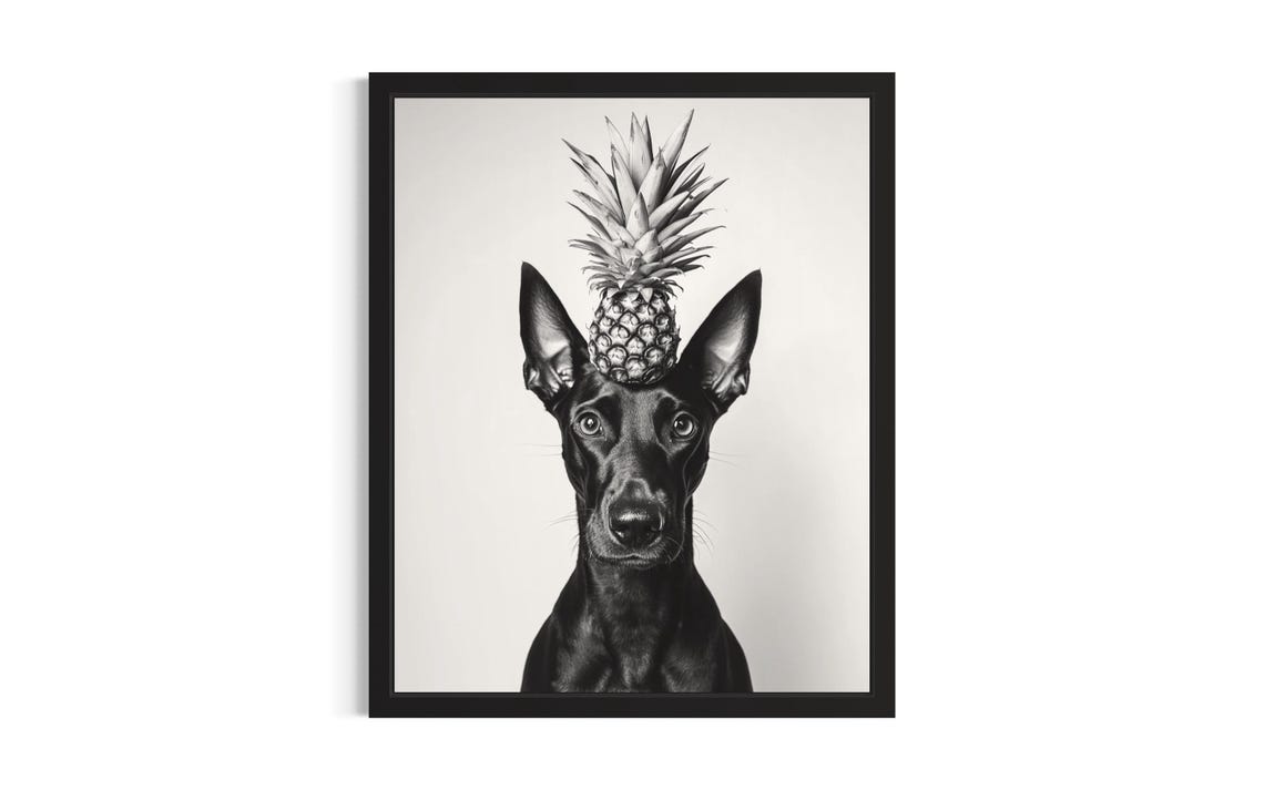 Doberman Pinscher Balancing Pineapple on Head Funny Kitchen Dog Poster
