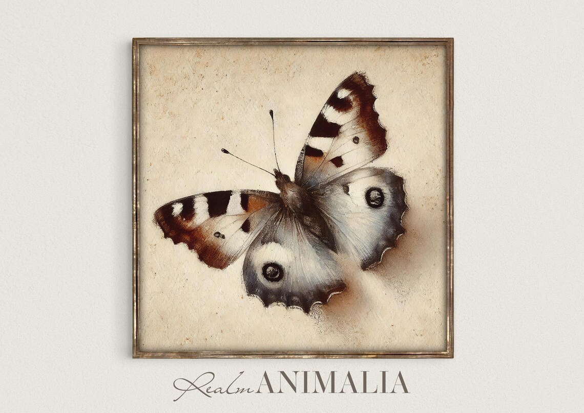 Neutral Butterfly Illustration Vintage Natural History Poster