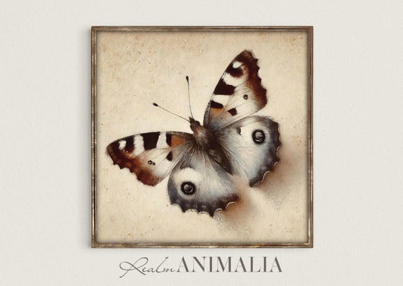 Butterfly Art Print Neutral Moody Square Wall Art Cottagecore Art Prints Insect Illustration Vintage Butterfly Drawing Sg118