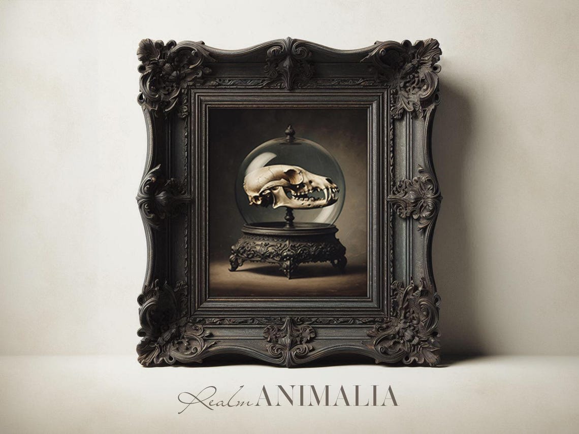 Animal Skull Under Glass Dome Dark Gothic Curiosities Still Life Print - Image 2