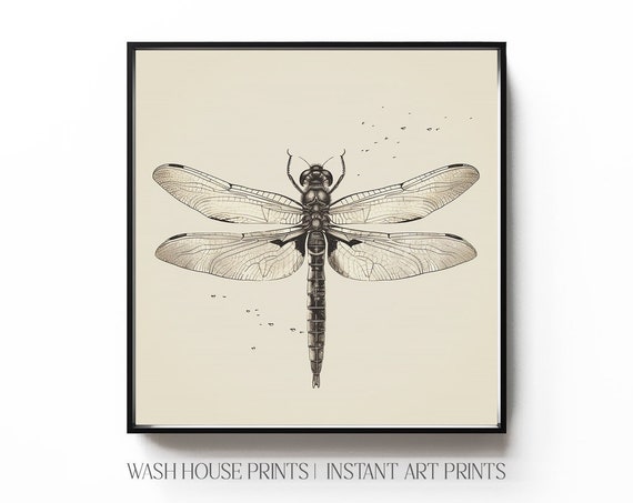Dragonfly Print Dragonfly Illustration Wall Art Vintage Dragonfly Wall Art Cottagecore Wall Art Fairycore Wall Art Nature Prints