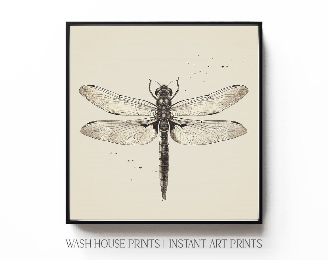 Vintage Dragonfly Botanical Illustration Sepia Insect Study Print