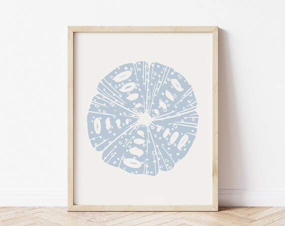 Pale Blue Sand Dollar Abstract Beach Sea Shell Coastal Wall Art