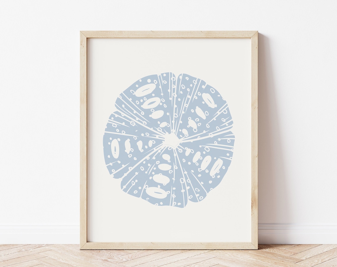 Pale Blue Sand Dollar Abstract Beach Sea Shell Coastal Wall Art