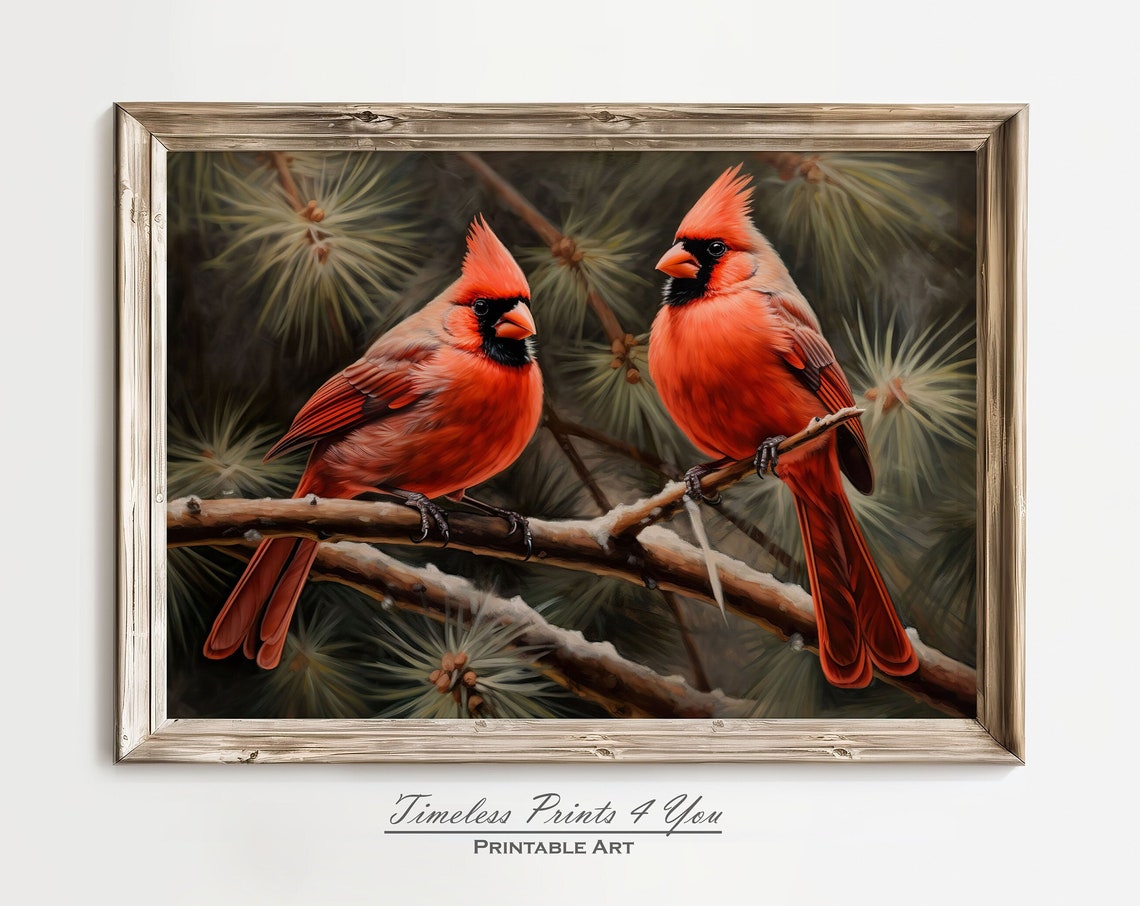 Red Cardinal Pair on Snowy Pine Branch Vintage Bird Poster Artwork