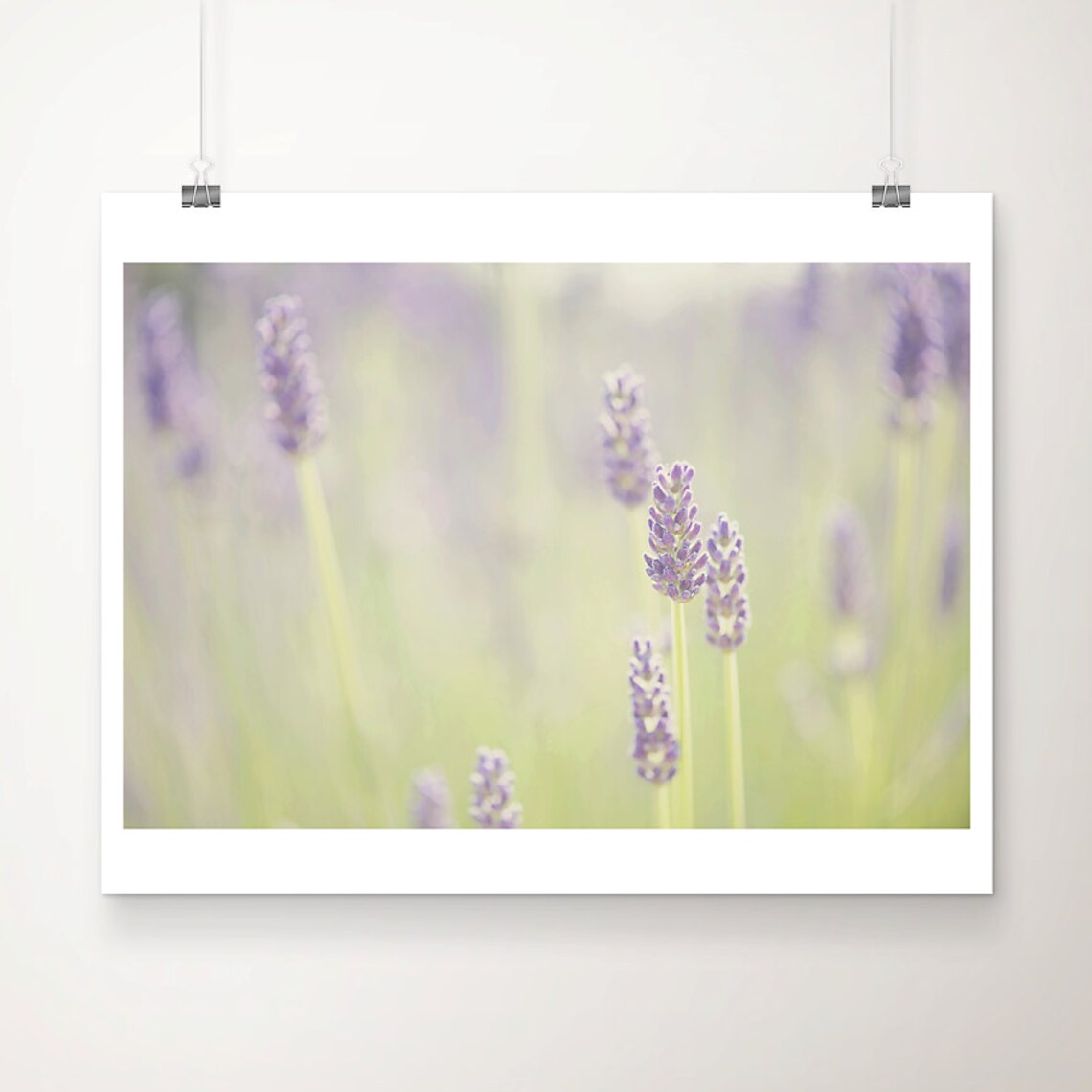 Lavender Field Photograph, Purple Flower Art Print