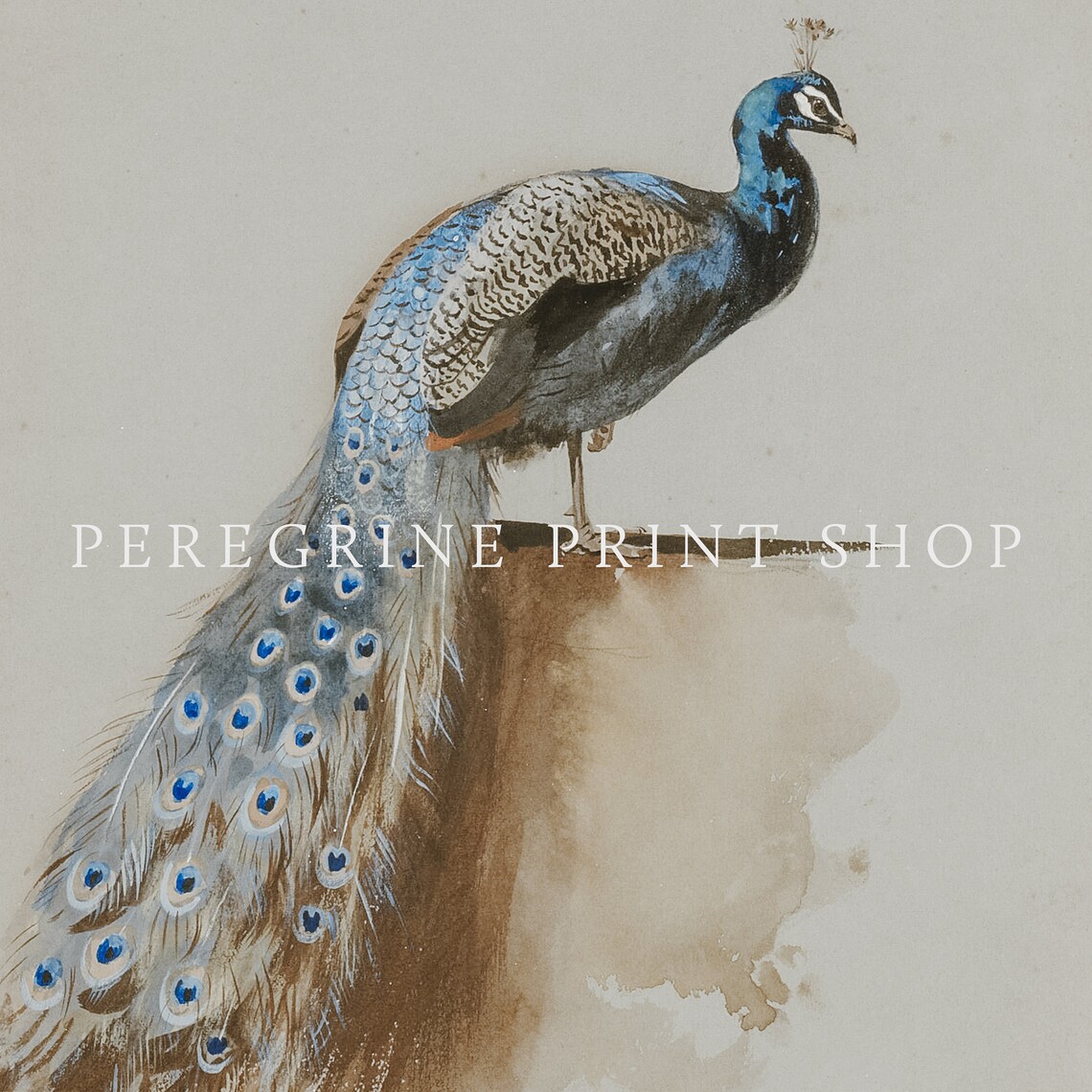 Pastel Peacock Vintage Eclectic Bird Art Print - Image 2