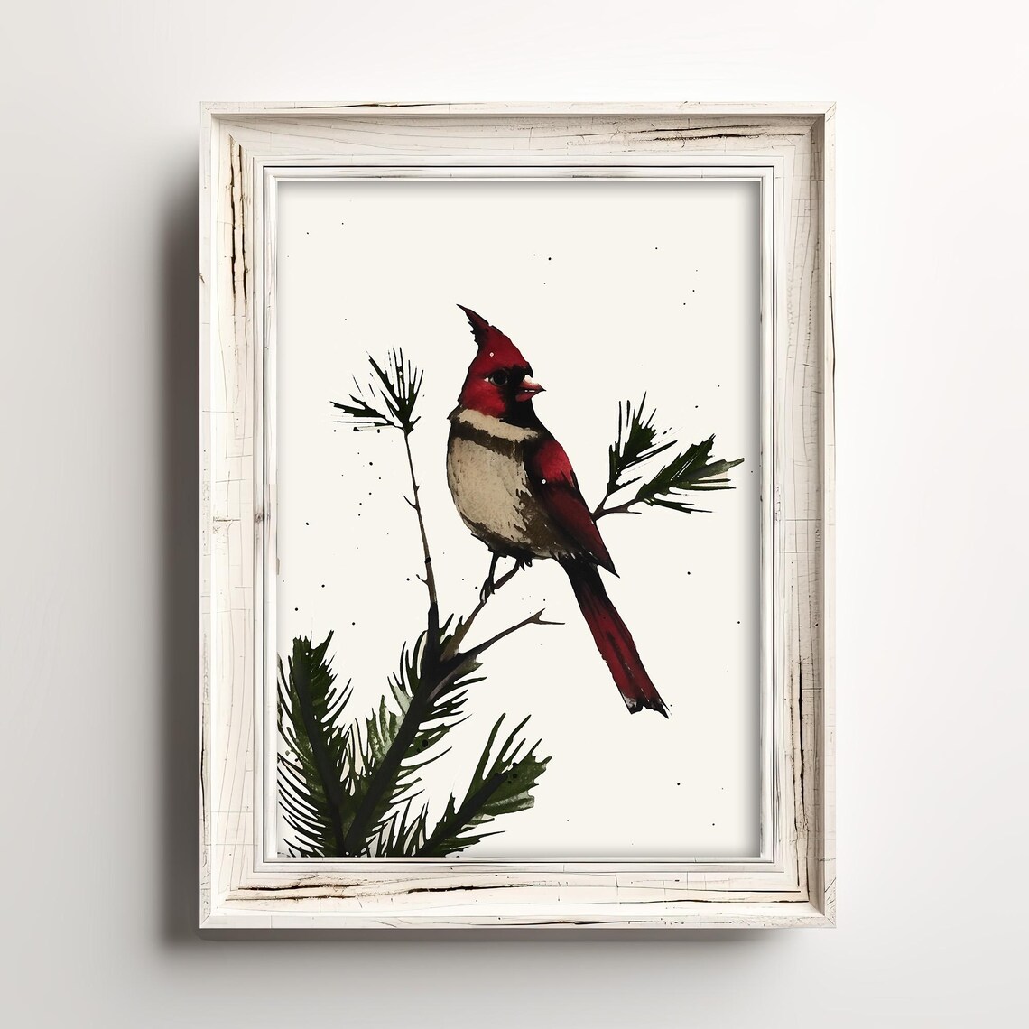 Snow Cardinal In Pine, Vintage Winter Bird Art Print