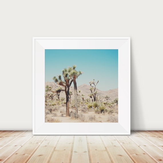 Joshua Tree Desert National Park Southwest Nature Photo Poster