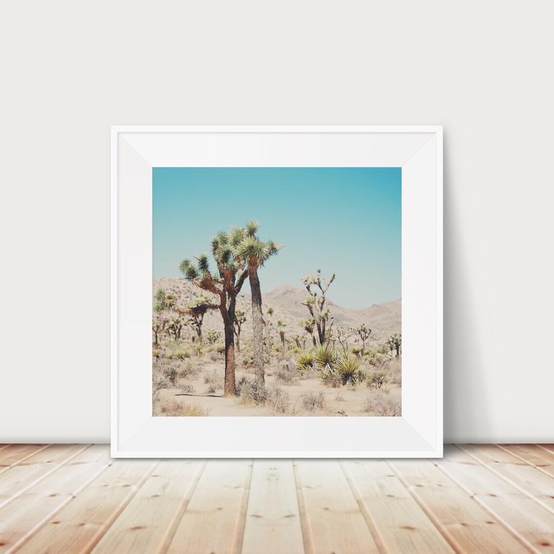 Joshua Tree Desert National Park Southwest Nature Photo Poster