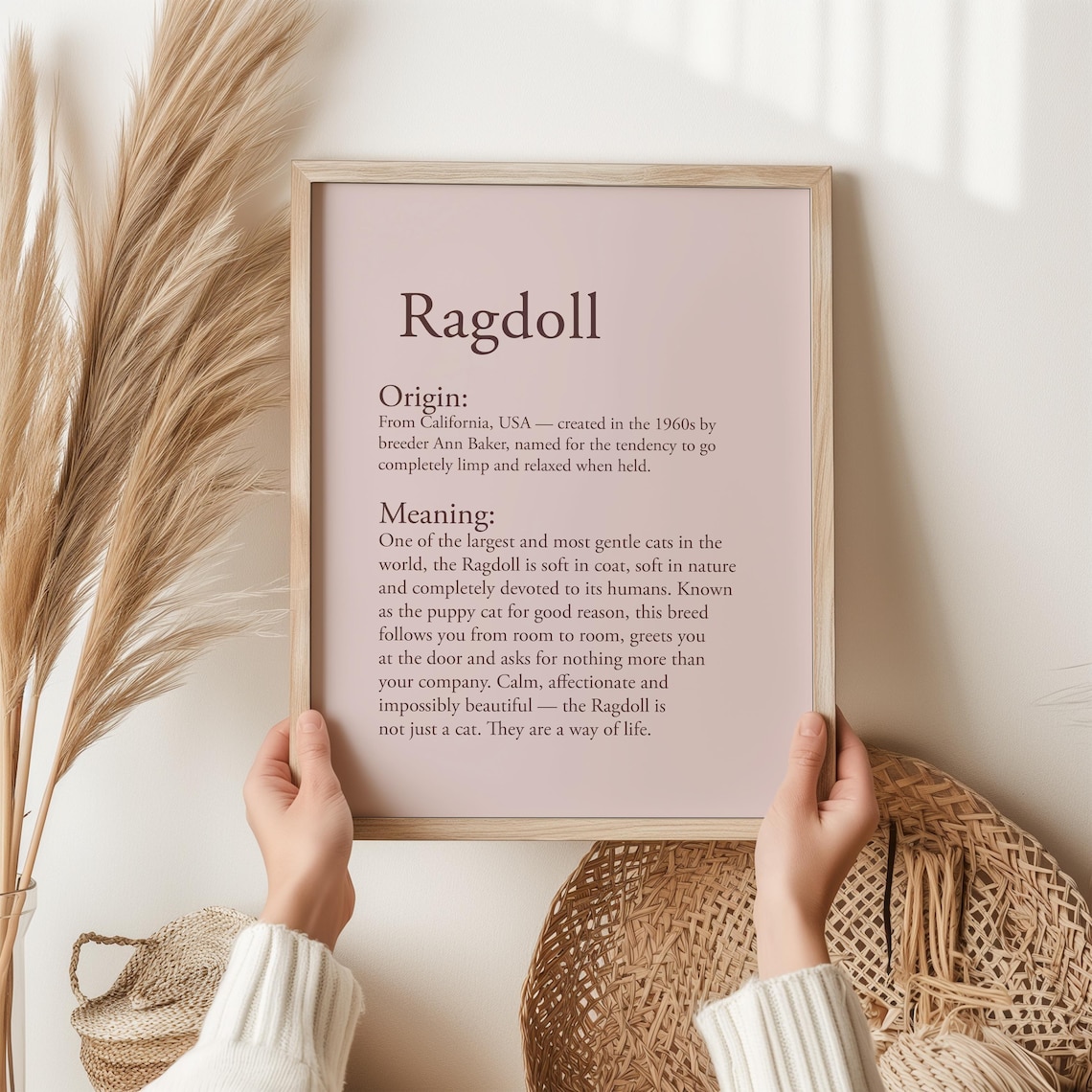 Ragdoll Cat Print Gift For Owner Wall Art Lover Definition Birthday Her Puppy