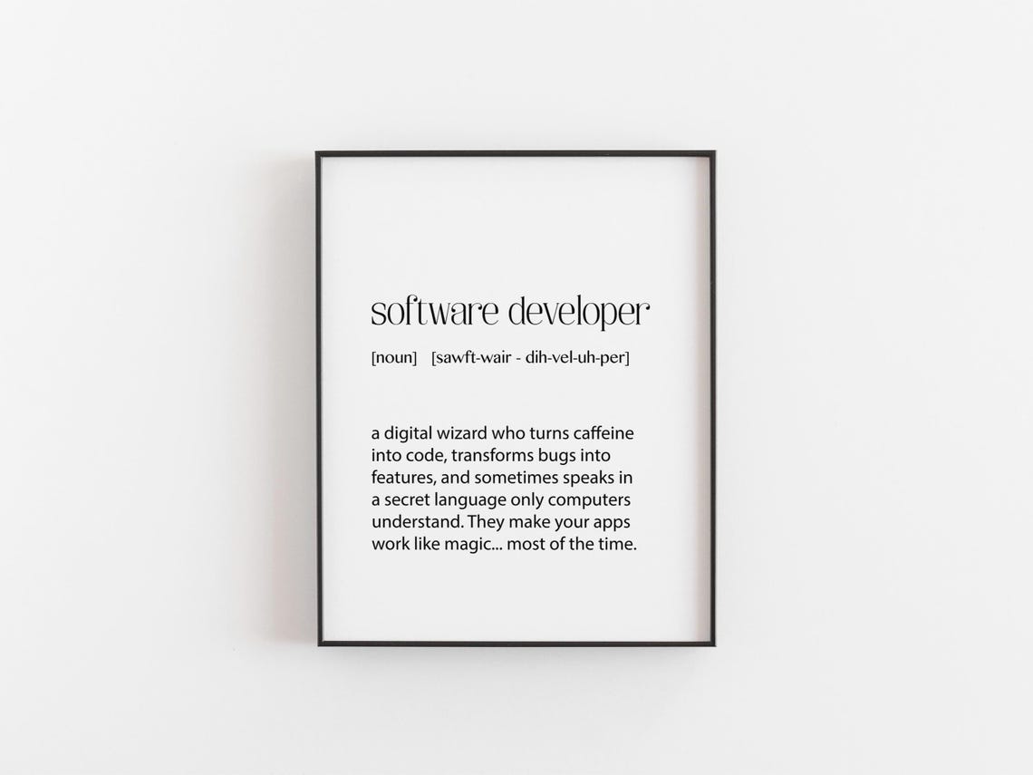 Software Developer Definition Funny Coding Office Art Poster