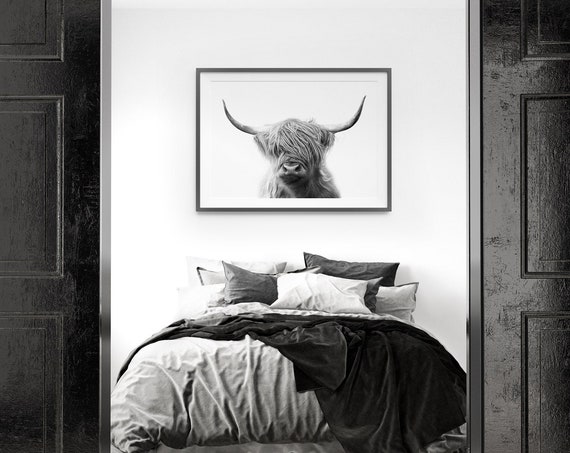 Highland Cow Photo Print, Black and White Farmhouse