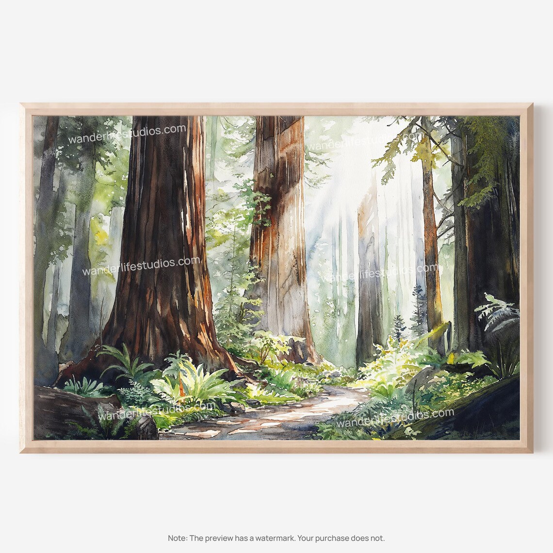 Redwood National Park Watercolor Forest Sunbeams Landscape Poster