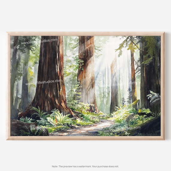 Redwood National Park Watercolor Forest Sunbeams Landscape Poster