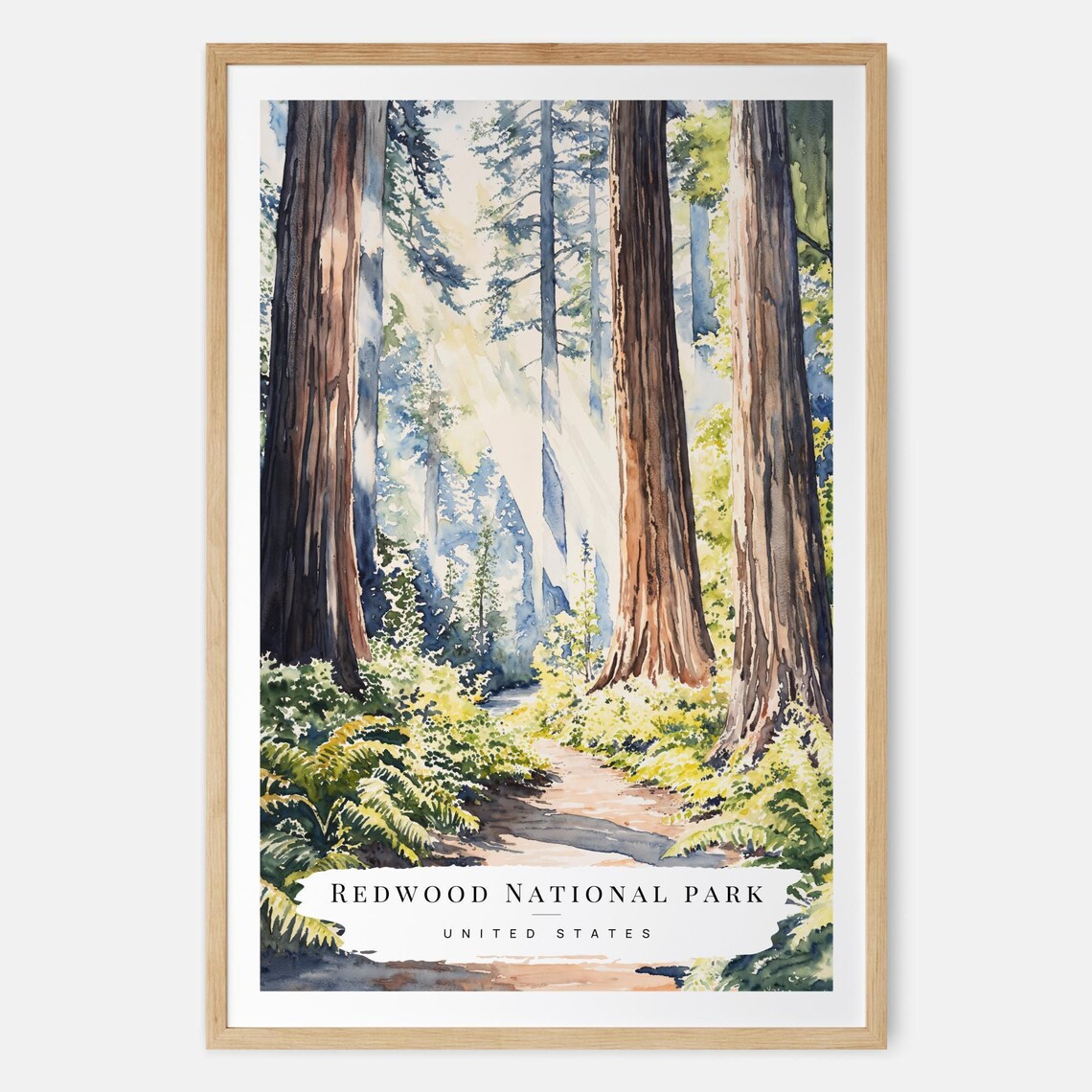 Redwood National Park New Home Art Print