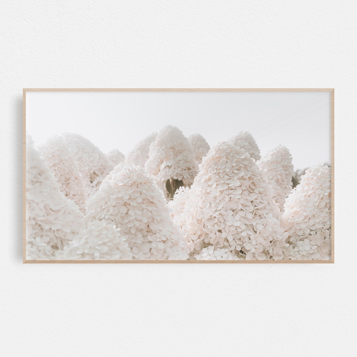 White Hydrangea Blossom Heads Botanical Macro Photography Art Poster