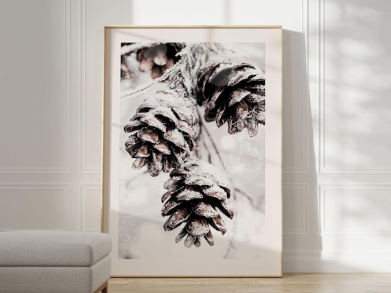 Snow Covered Pine Cones Winter Nature Photography Art Poster