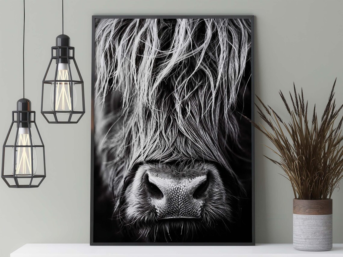 Scottish Highland Cattle Portrait Photograph Art Print - Image 3
