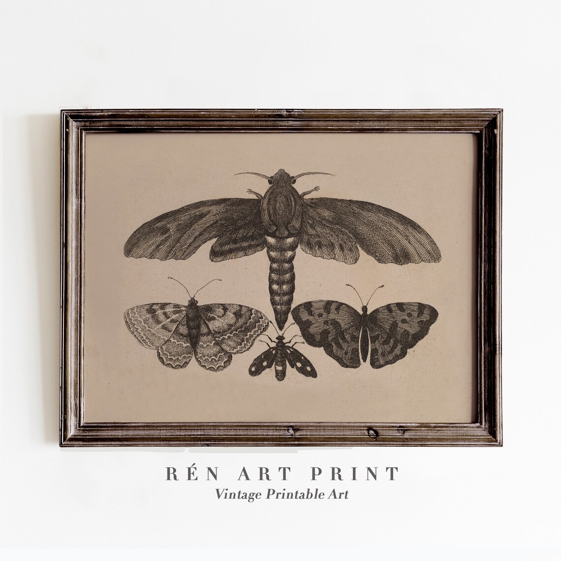 Moody Moth and Butterfly Vintage Chart Art Print