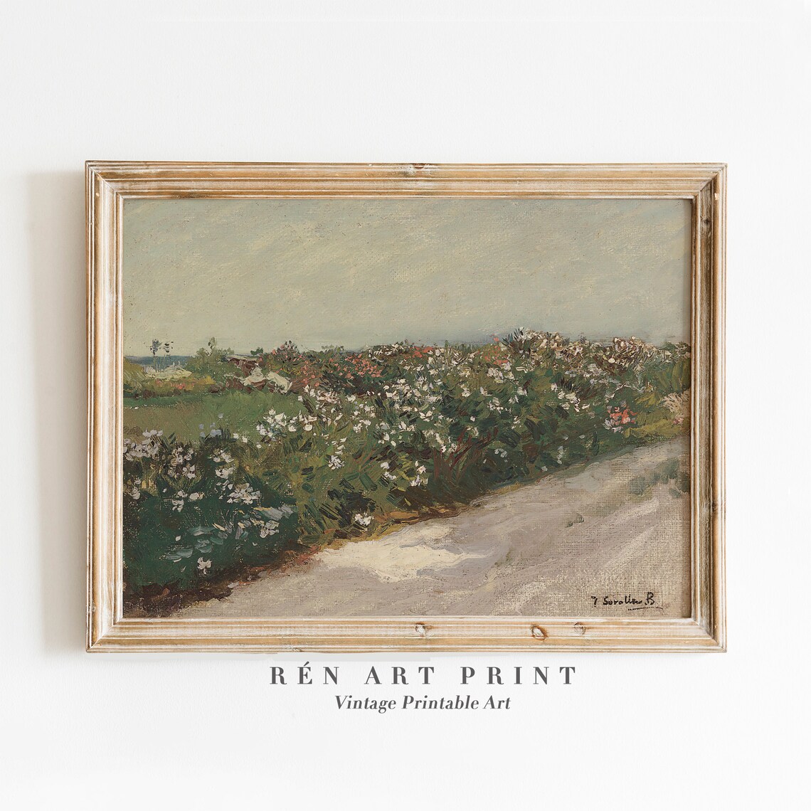 Blooming White Flower Field Country Path Vintage Floral Art Print
