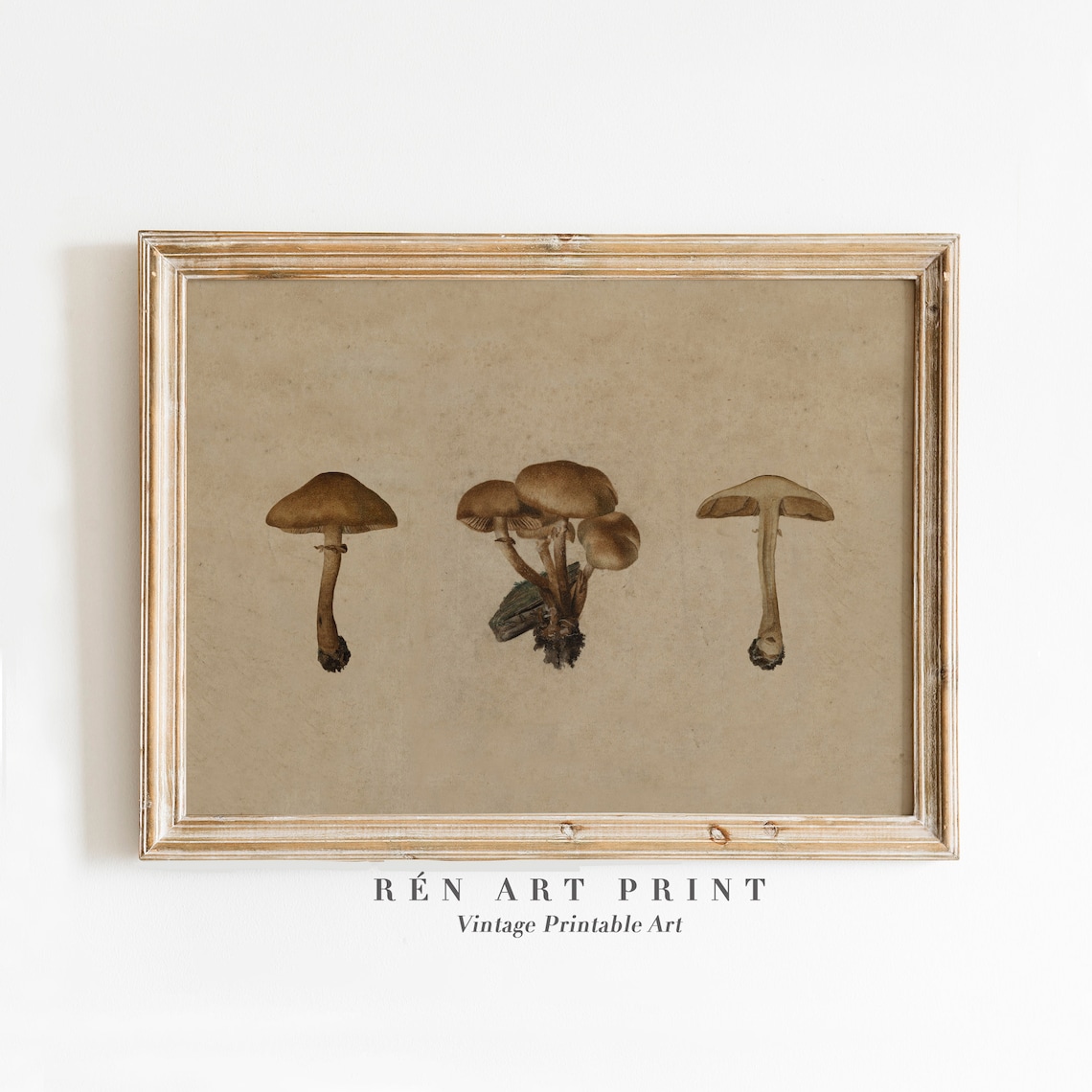 Vintage Mushroom Art Print, Farmhouse Kitchen Decor