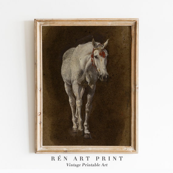 White Horse Farm Animal Poster Print