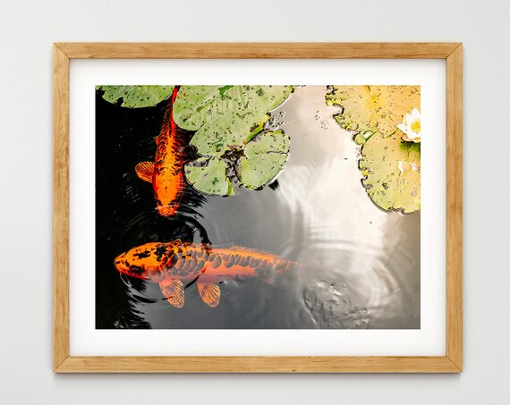 Koi Wall Decor Garden Art Print, Pond Fish