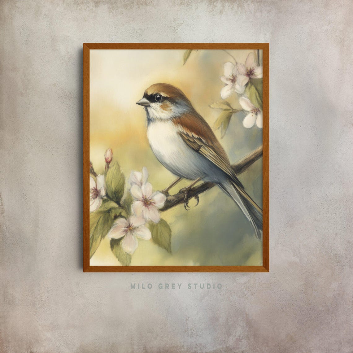 Watercolor Sparrow Perched On White Blossom Branch Spring Poster