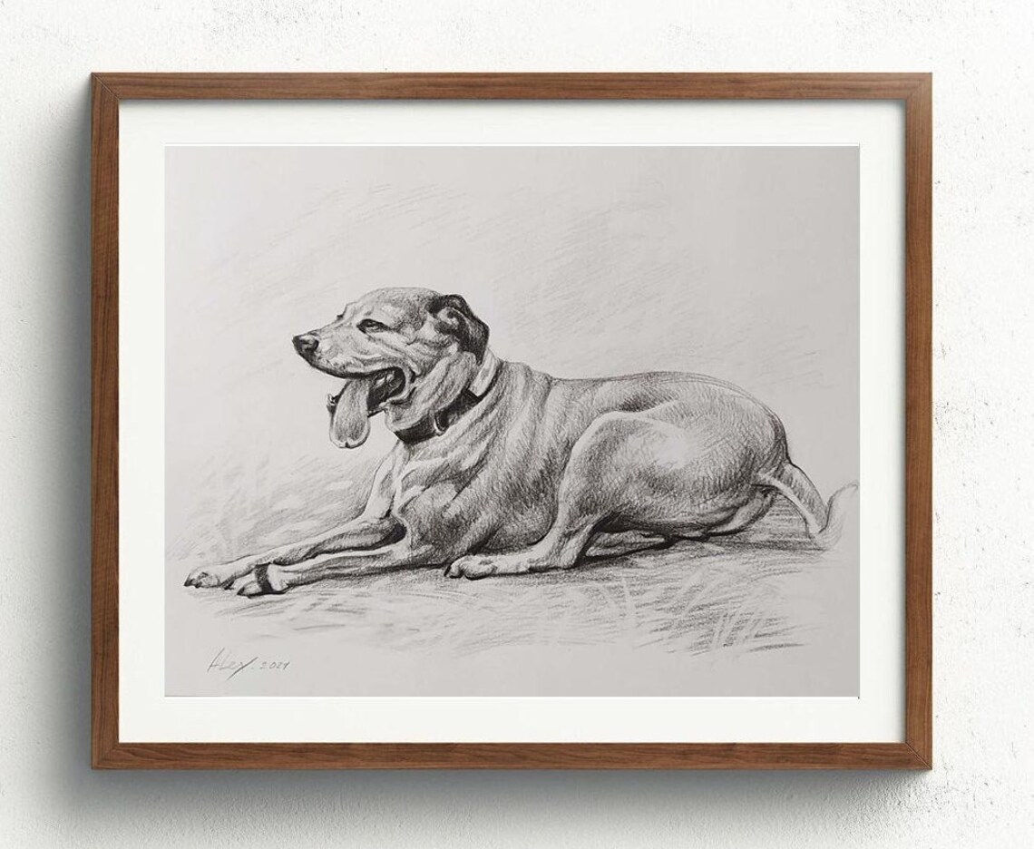 Dog Lying Down Yawning Detailed Pencil Sketch Portrait Poster