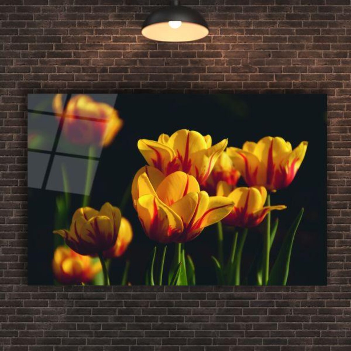 Yellow Red Striped Tulips On Dark Black Background Floral Poster - Image 2