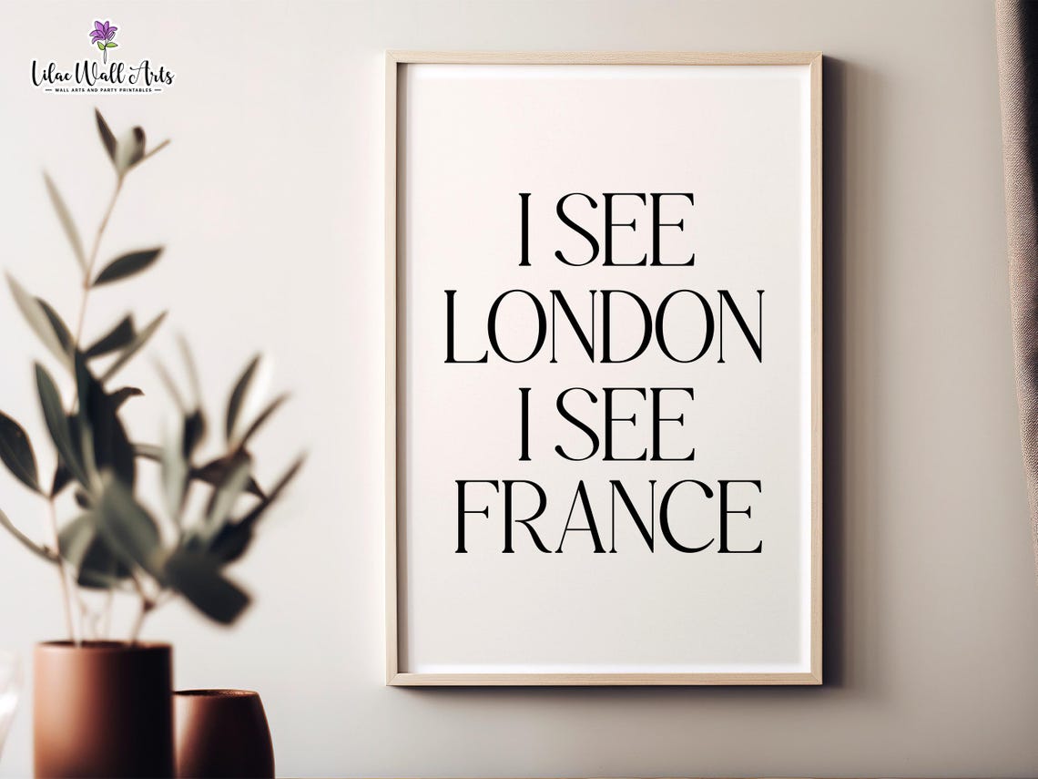 I See London I See France Toilet Poster Humor Bathroom Art Fun Funny Toilet Print Bathroom Line Art Restroom Print Bathroom