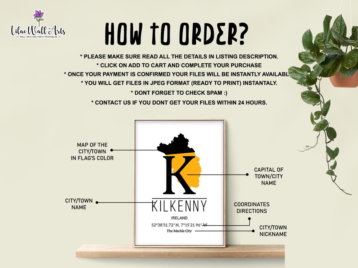 Kilkenny Ireland Map Poster GPS Coordinates The Marble City Art - Image 4