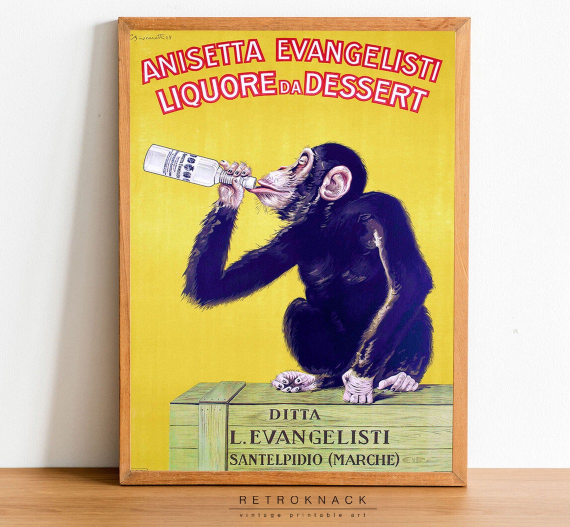 Anisetta Evangelisti Liquor Vintage Italian Chimpanzee Ad Poster - Image 2