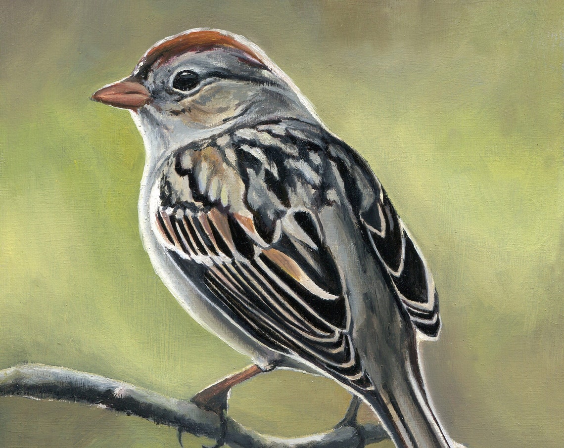 Vintage Bird Original Painting Framed Birds Oil Painting Sparrow Classic Art Oil Bird On Branch Wildlife Nature Artwork Cottage Wall Art