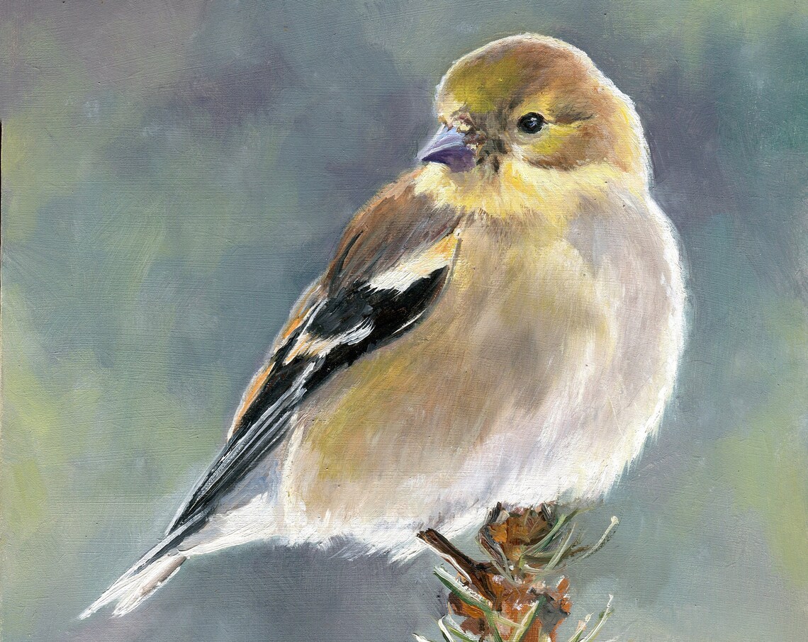 Goldfinch Oil Painting Art Print, Cottage Bird Decor