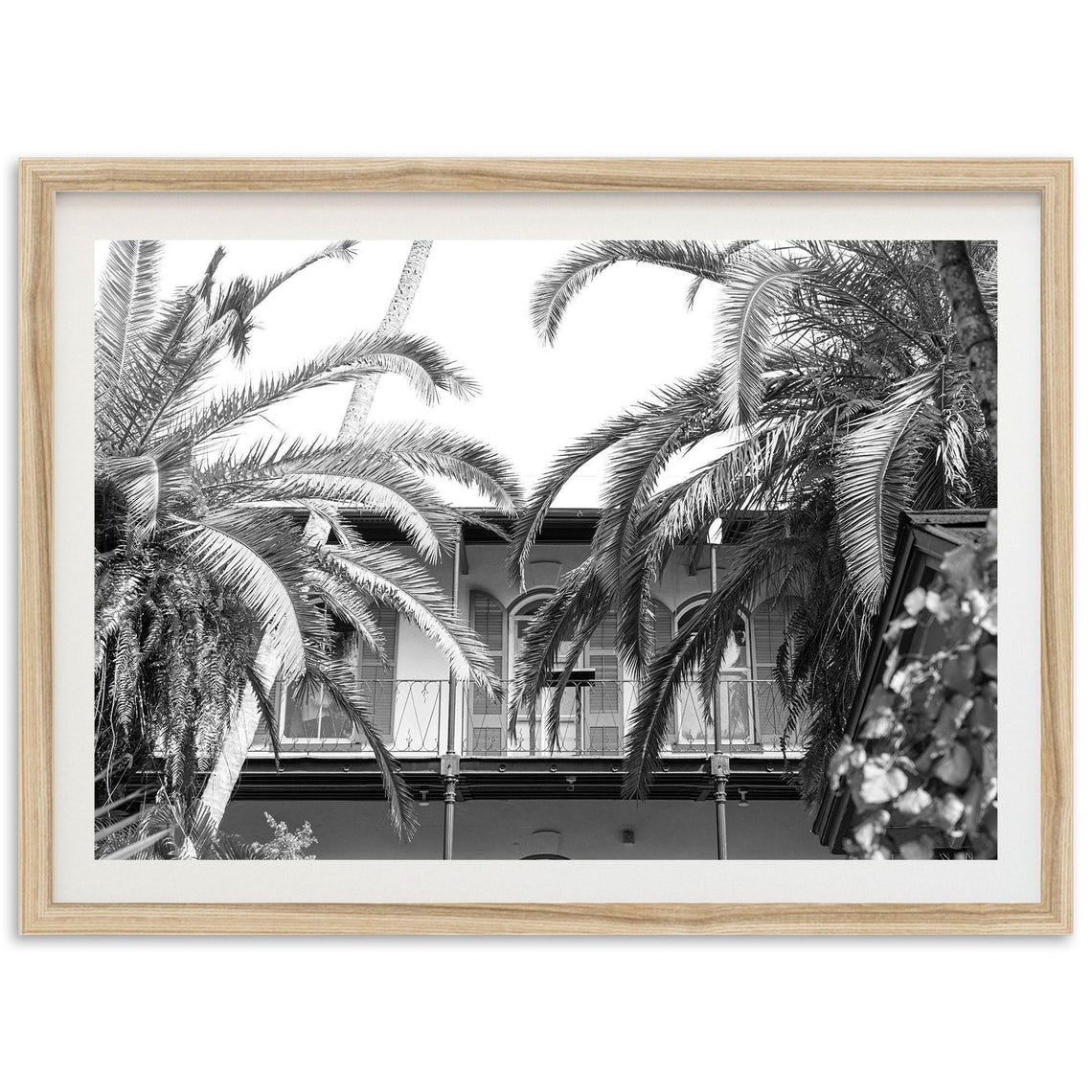 Hemingway House Black And White Key West Florida Photography Poster