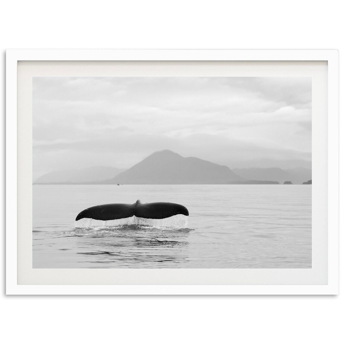 Ocean Whale Art Print, Black And White Coastal Decor