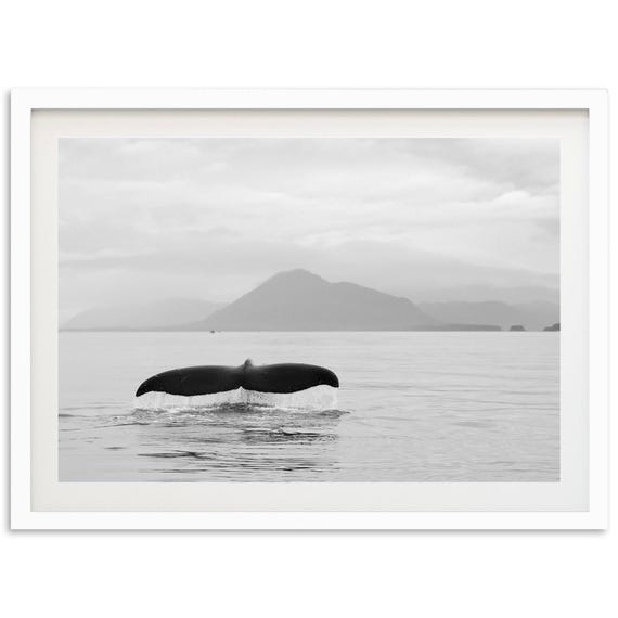 Ocean Whale Art Print, Black And White Coastal Decor