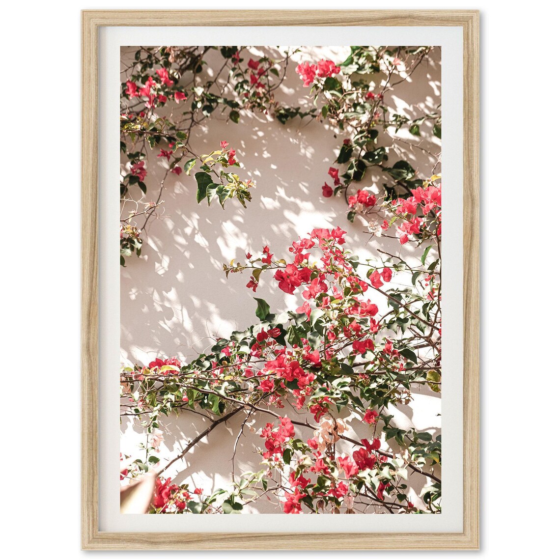 Bougainvillea Flowers Coastal Boho Art Print